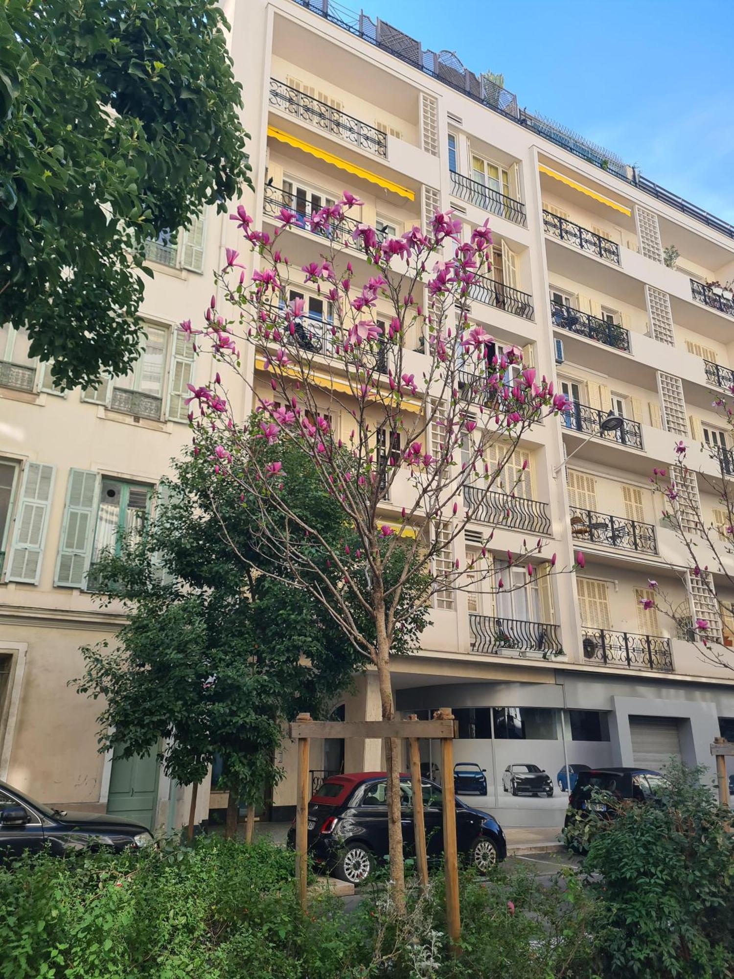 Appartamento Sun, Style And Comfort - 2br In Center With Terrace & Garage