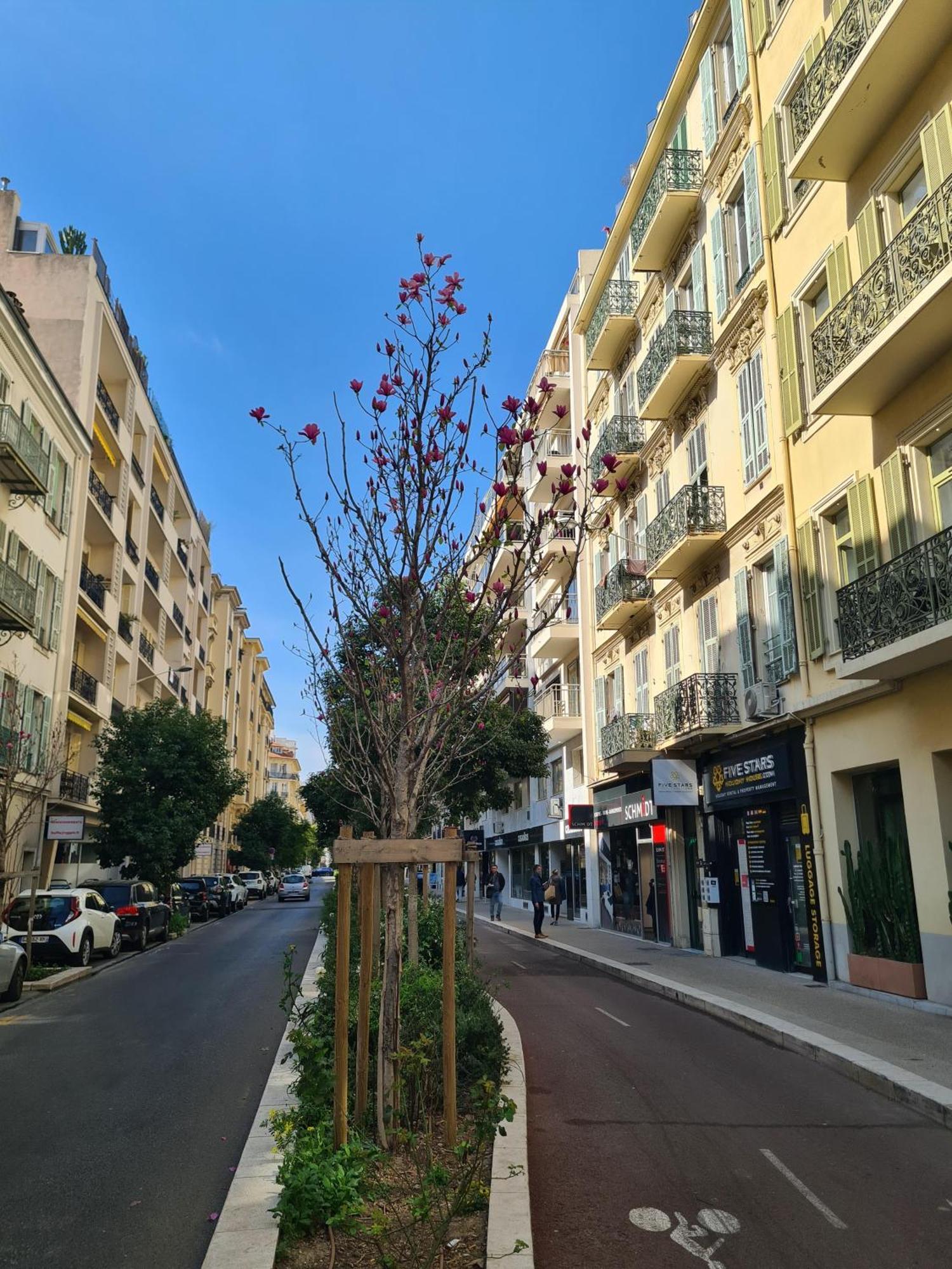 Sun, Style And Comfort - 2br In Center With Terrace & Garage Appartamento